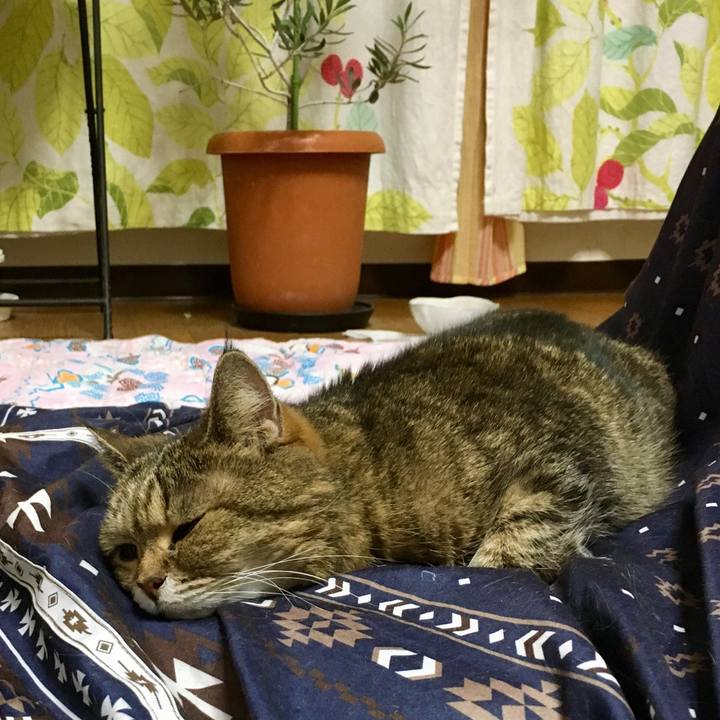 10e37154 aaa1 43b5 be5d 0e3ce3e2fe04