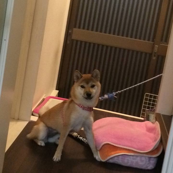 10e416ff 48f1 4d08 ae4a 18962ffe98d5