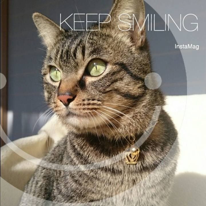 10e4344c dad2 4e9c b2e4 26f212ed561d