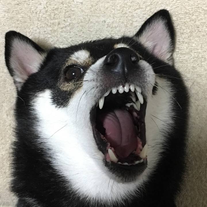 10e44675 52df 481a 8fbc 57d3b438e57b