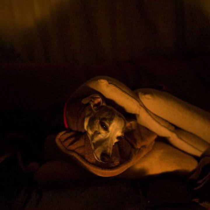 10e58b4e 7c9d 4a40 8763 6e8c14683d48