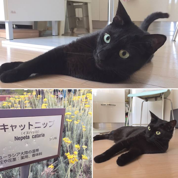 10e5918d 0e97 4b10 a2af 34c50fbcdacb