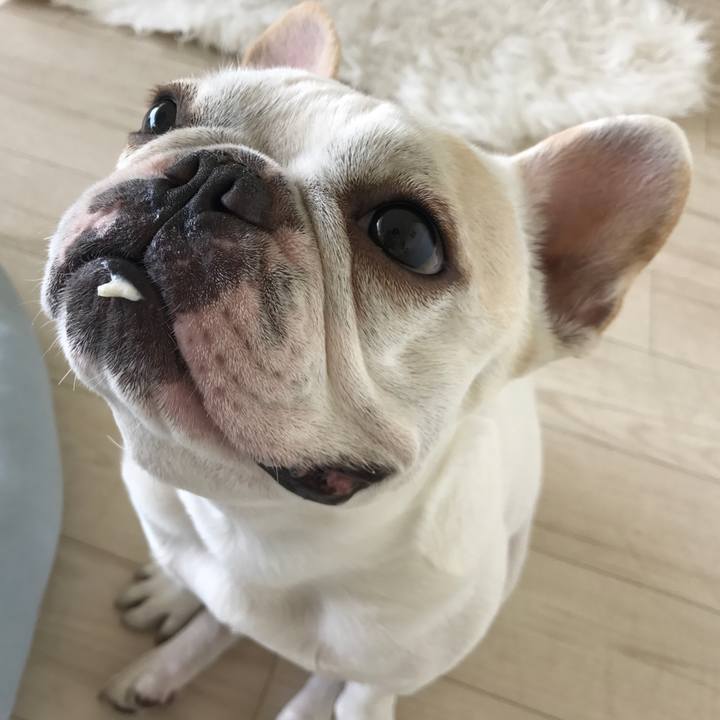 10e5efd7 0e55 4452 aada 8ca3c9d55085