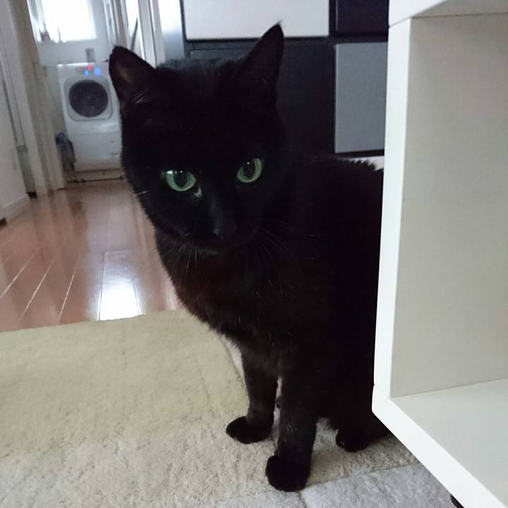 10e73f39 c06b 4b06 b53c 8a1be983b67d