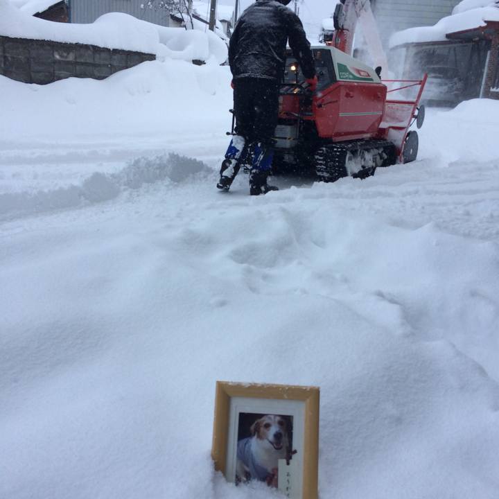 10e75bcc 00e4 496c 8019 6845ef789b42