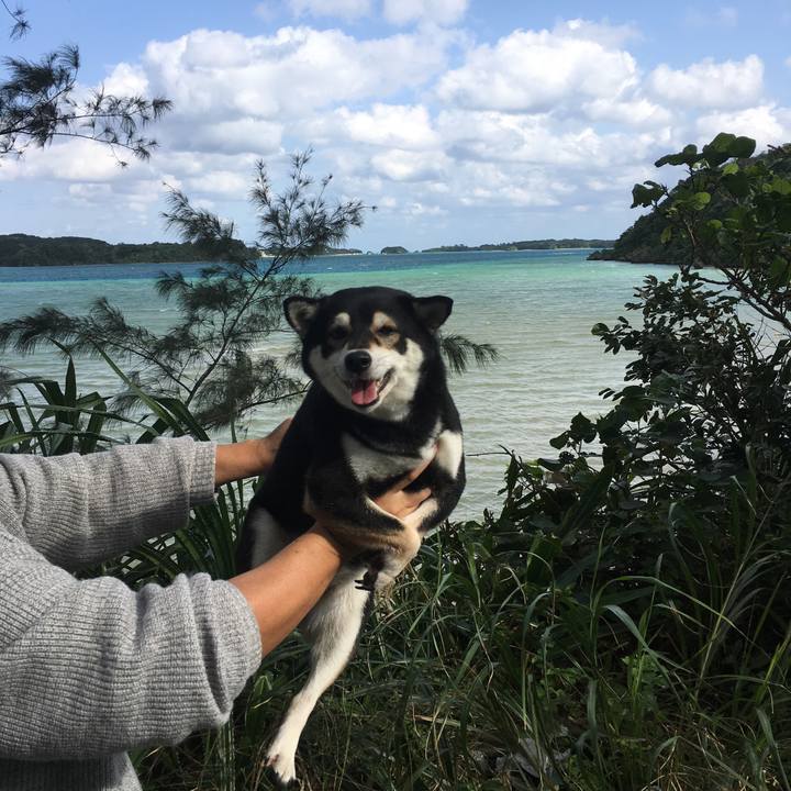 10e7f807 5d6f 4bb9 a247 2b5cea3a1be3