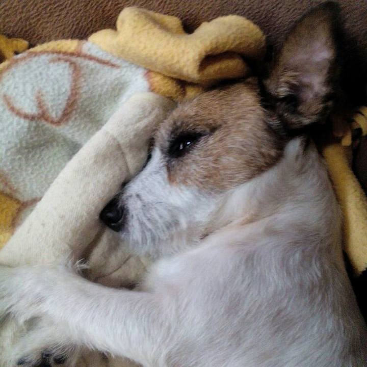 10e838c8 f2fc 4700 b3df c9ae5222ff44