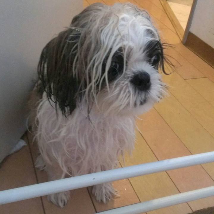 10e92469 cec5 4535 8b3b 7ce9987f148d