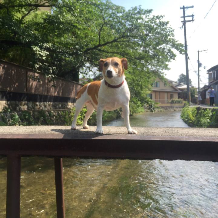 10eb9630 1bde 4a03 8732 8d9f2e2f8cf7