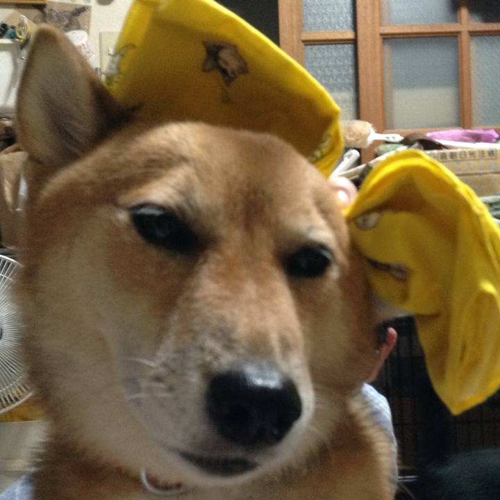 10ec2268 49b5 4aff bd8d 52faf43c2195