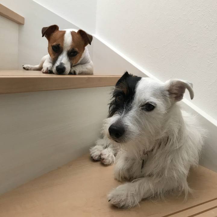 10ece71c e5e6 43e6 a0bf 87592db97667