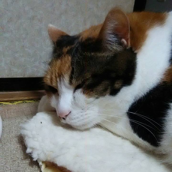 10ed96c7 fda4 4bd7 91fe 7eb328648f5d