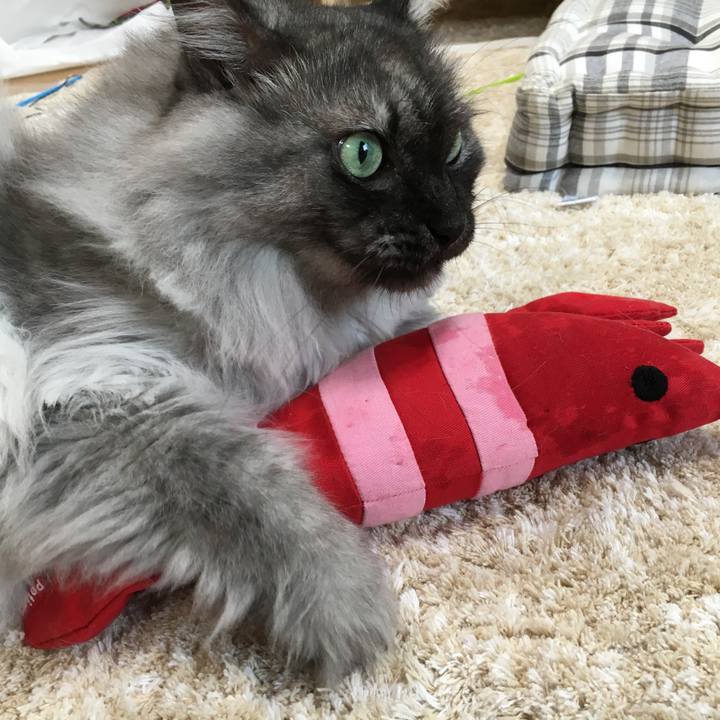 10edc7b7 8f4e 4711 b23e 009aa365fb6c