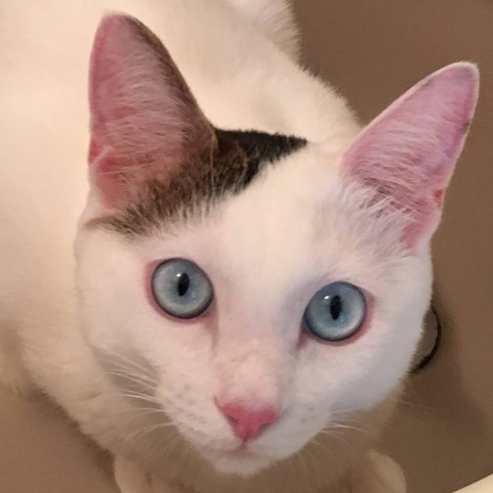 10ee6049 579a 4440 a760 f8c6a0245b5a