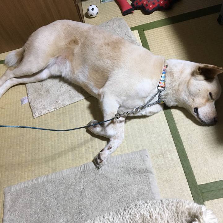 10ee6131 b26e 49ea a5c8 a053cf7ef020