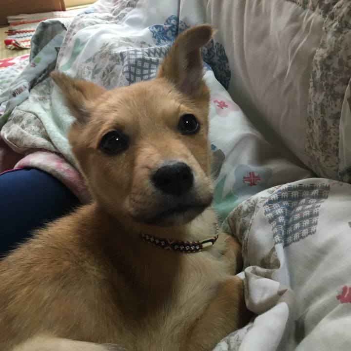 10eecf55 b37d 4f0c 8c2f c33272647878