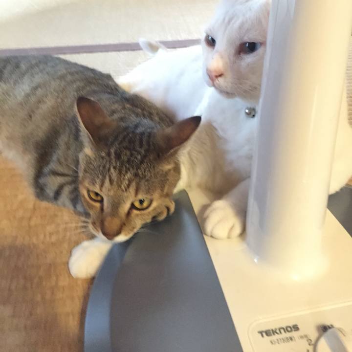 10eedf00 27a2 40c6 8ab4 cef5e9c20aae