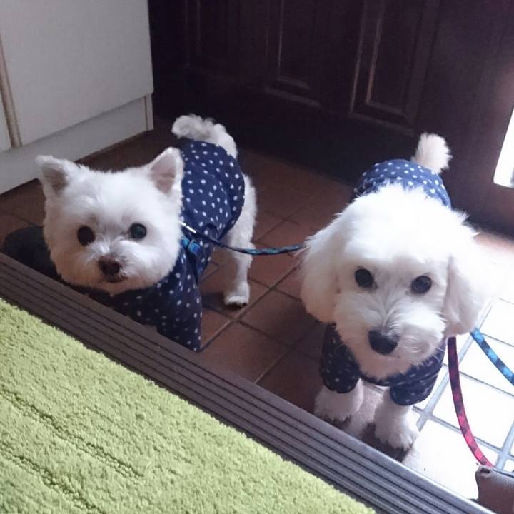 10efe969 a030 4c0b b3d5 45d0a285061d