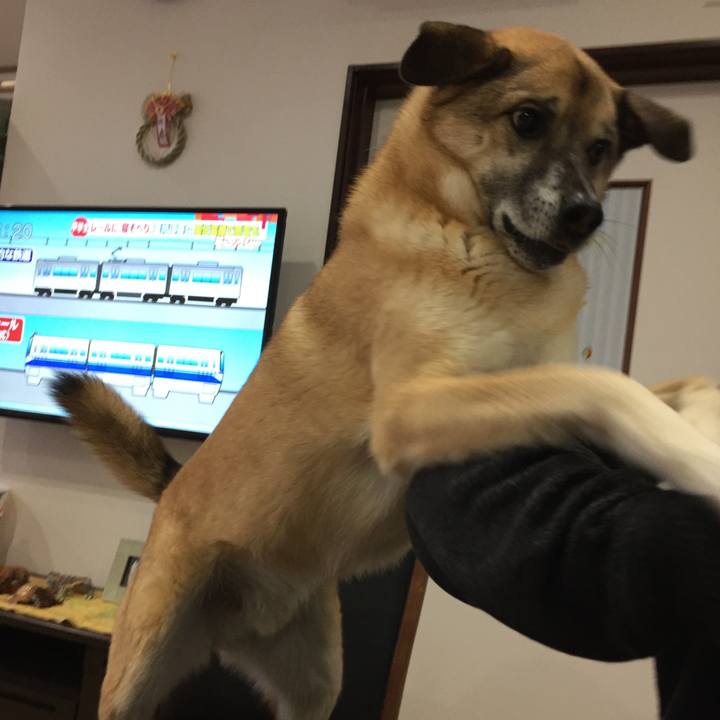 10f04d2b ace2 4cd1 a82b e269d5c5a672