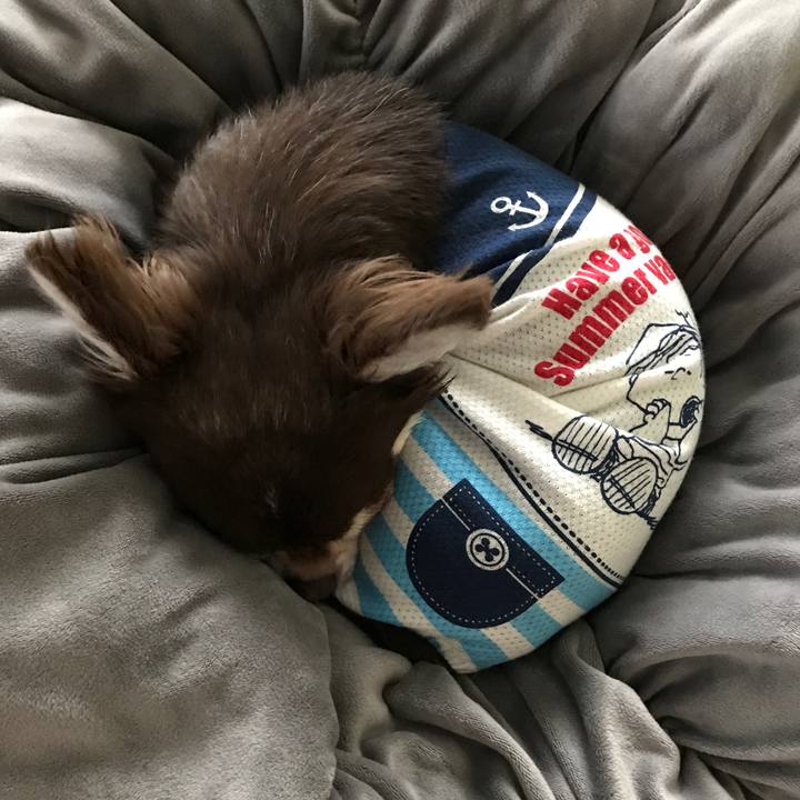 10f195a8 c1e8 44a7 9345 662834367820