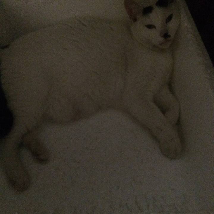 10f1ba3a b738 45e5 a034 846de8f1ab80