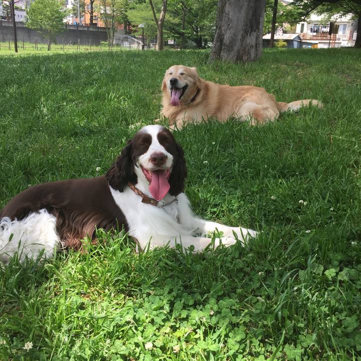 10f1bb2f 4904 457f 9084 df1faa07d5b3