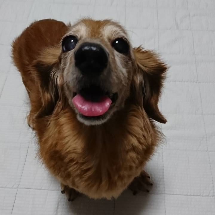 10f1f5bf ecf1 4f08 82f8 bc29db38e641