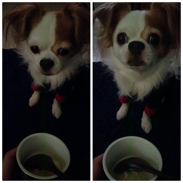 10f315a2 cc95 4064 aa0c 9d13ae3a8d2a