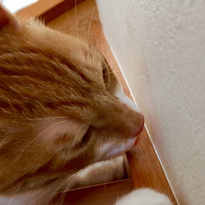 10f31f59 275f 4bdb afc2 394980332ab8