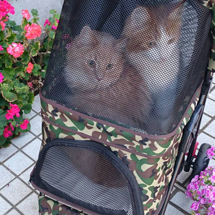 10f322b8 7419 47ef b784 ac01ea97b037