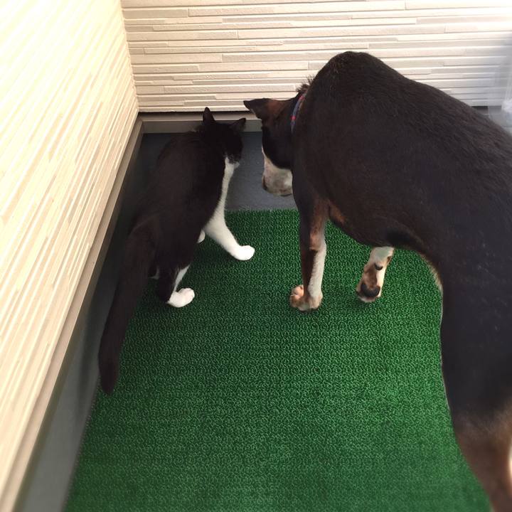 10f35eda 8bb2 4f63 8d47 2849e5b7844d