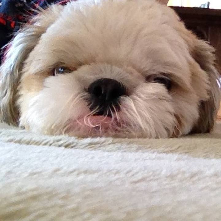 10f4145e ac45 45e9 b374 21f9019e3748