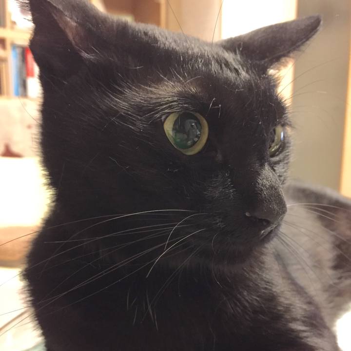 10f488f6 44be 4814 8595 6efa3ce73d30