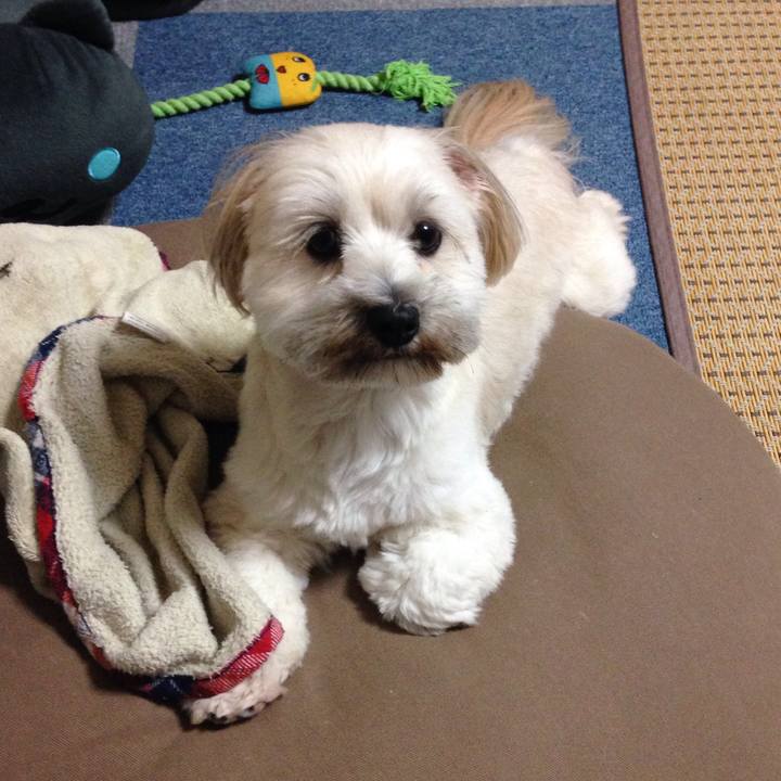 10f4b2df cc04 413b 86d2 3473c9de25d2