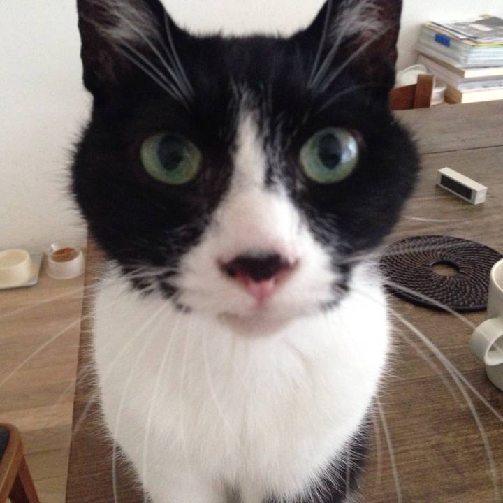 10f4b7c3 5be9 4480 9b23 ce9950221a7f