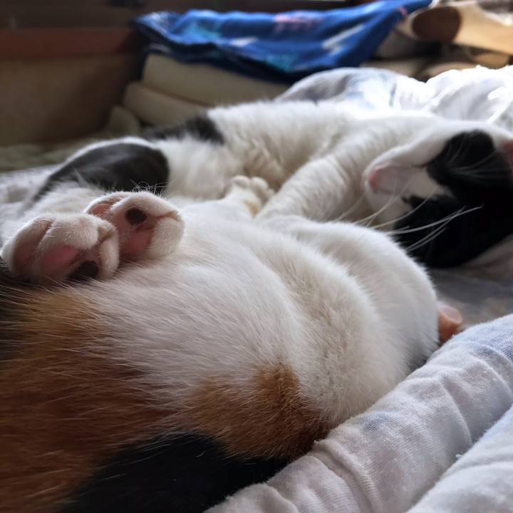 10f541fb 2f44 48f4 8ac7 d0f7142986b6