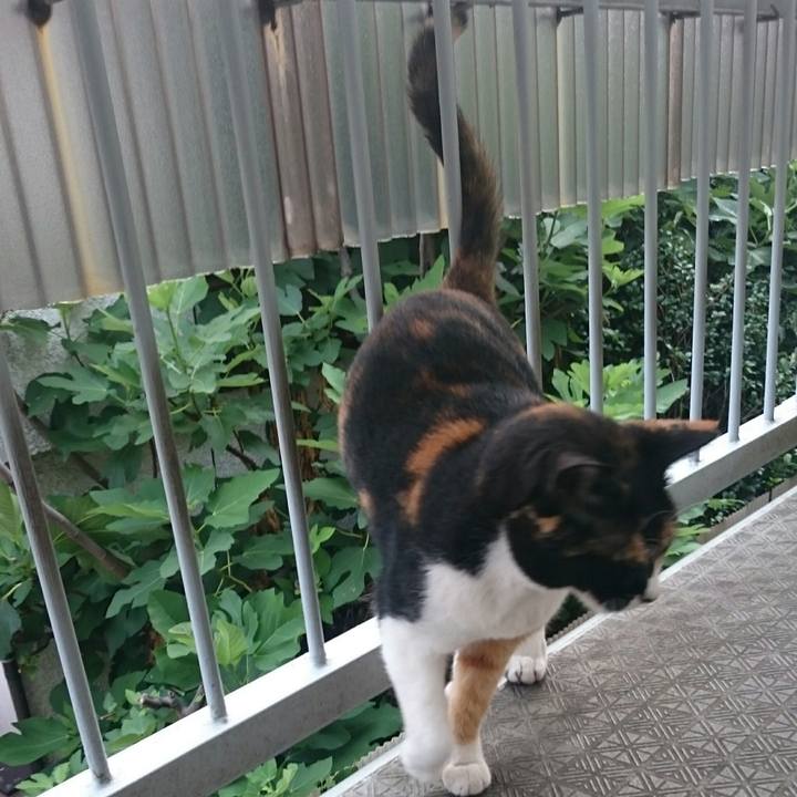 10f5e29a 84a4 4cab b3d6 a0c3c29f3656