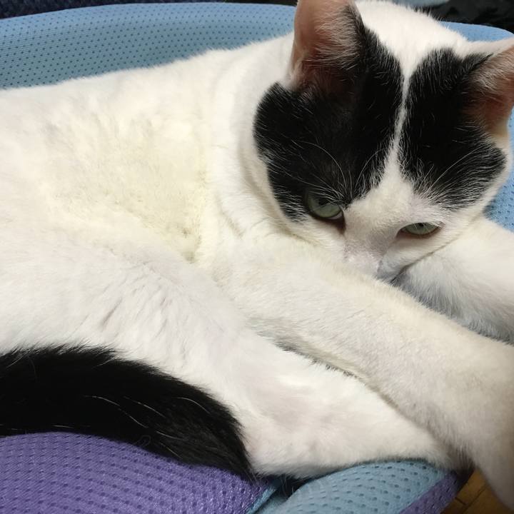 10f65a74 6faf 492e 8e19 2c7a791e4e13