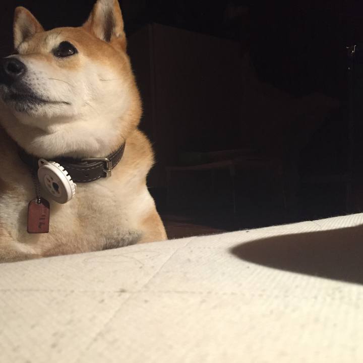 10f69238 fbcb 453a 979b 99a98dfbf7ef