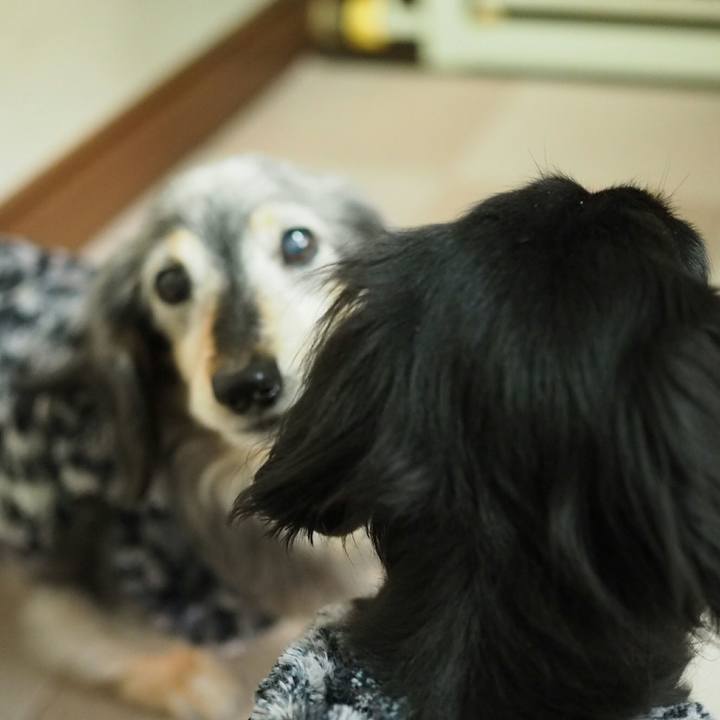 10f6d5a1 ce3b 4bf0 8e5f 5658c68da0d7