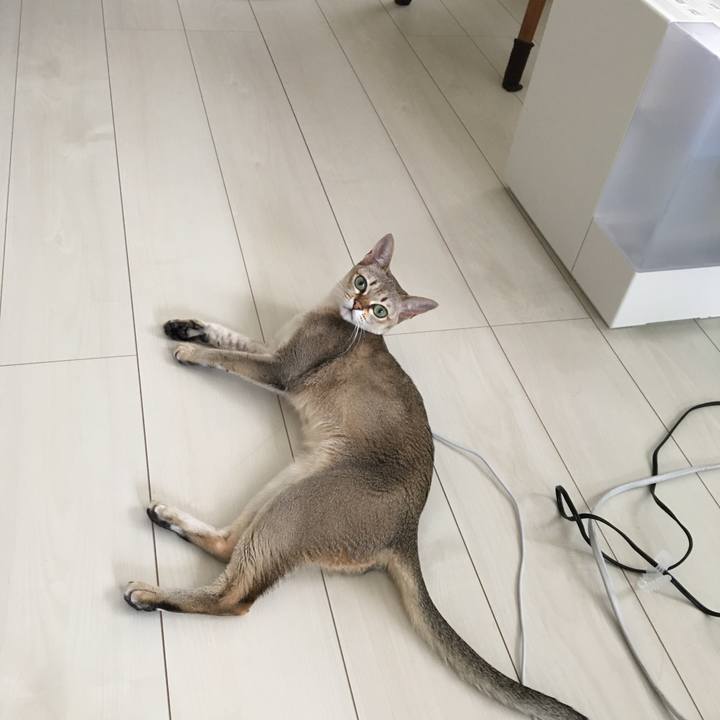 10f78703 6767 4adb 9ce4 437a9ec796ec