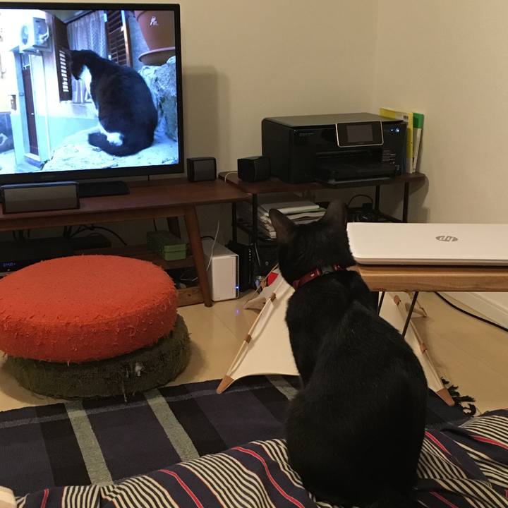 10f7a415 d179 4a3a 88af a6069f9eaf0a