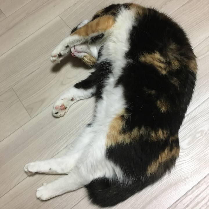 10f81ffa 922b 4d82 b54a 03202f454865