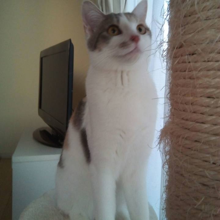 10f877a1 715d 4fcd ac8c 47933743b77a