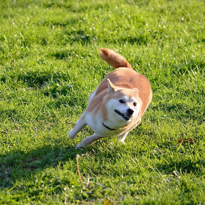 10f89cbe 824f 4793 8889 75d0ec95ba58