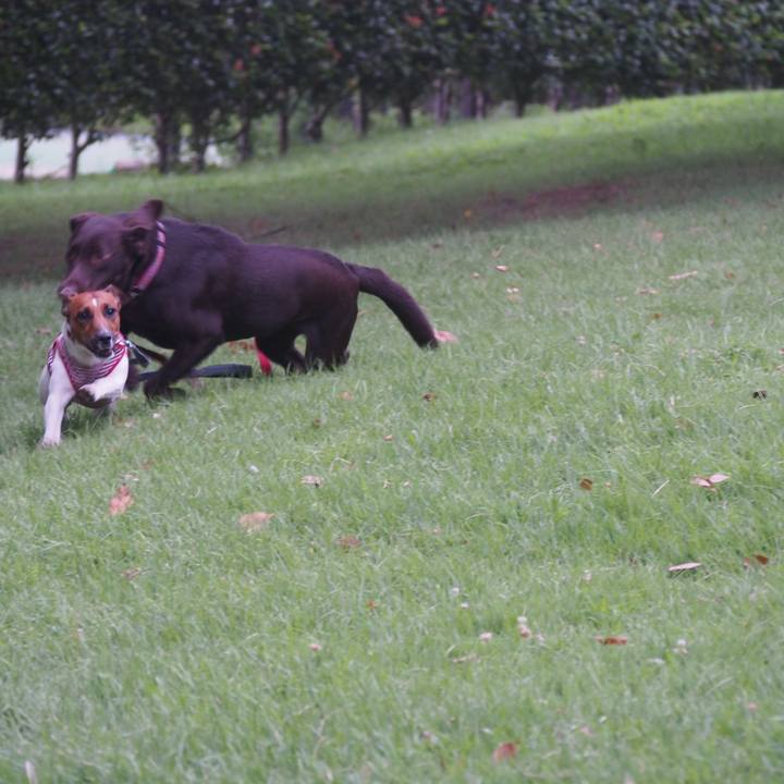 10f8c69e ed87 4843 87c4 ed01f8d78f7e