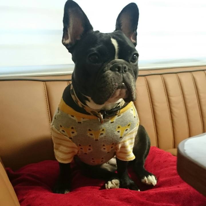 10f91993 fa2f 4527 b445 dc347db8caef