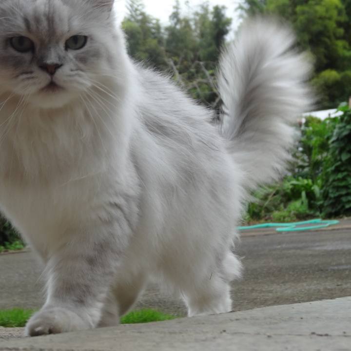 10f92189 77d6 4569 86ed 6146c1bb2d03