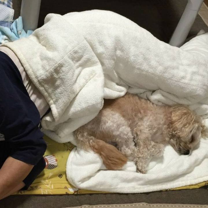 10f9774f 8ac9 4070 9e46 decca41ea376