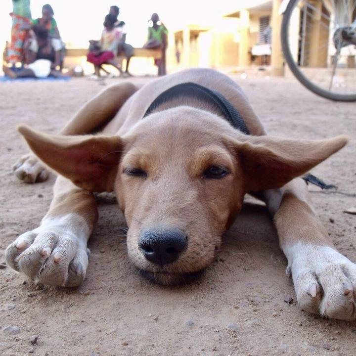 10f97bb8 f4f3 48b4 84fa fd7e16258629